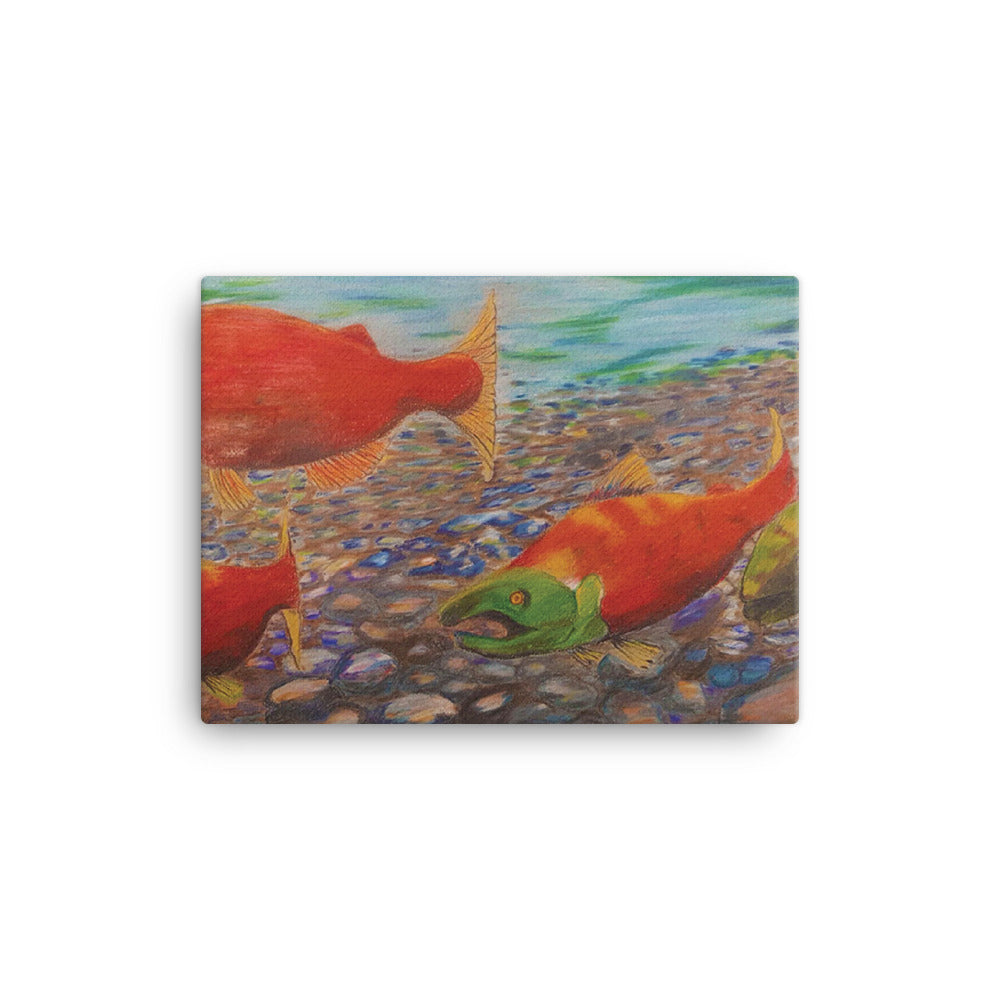 # 26 Salmon (Canvas)